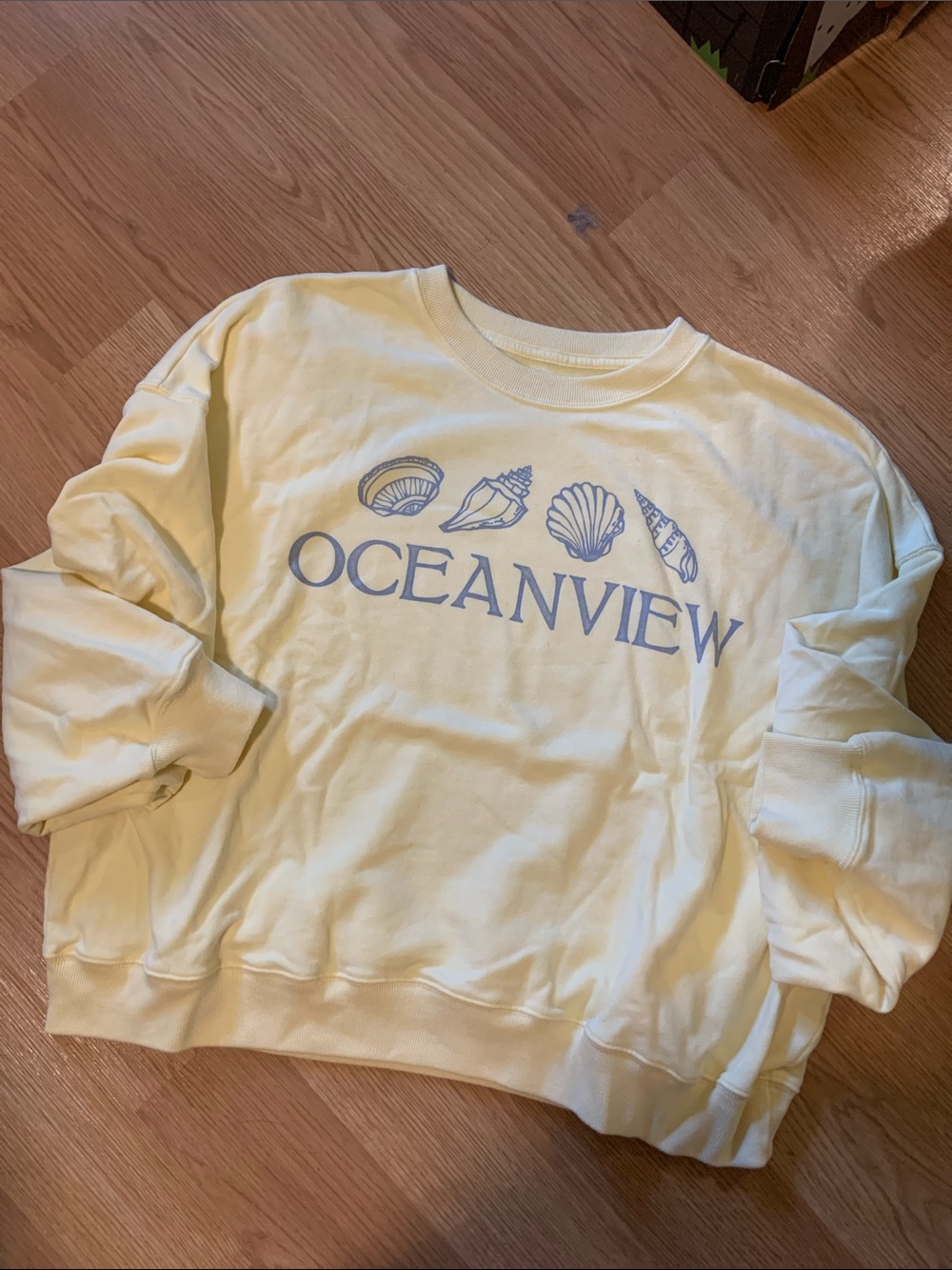 Women’s Hollister sweatshirt